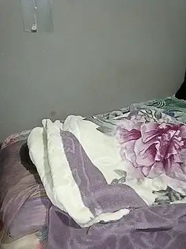 BigGamecharger webcam