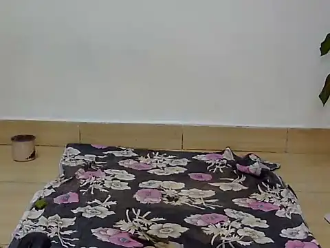 SPRING_CHICKEN webcam