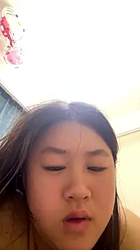 fang-101 webcam