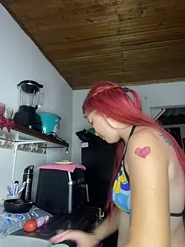 aria_rm webcam