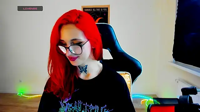 your_tora webcam