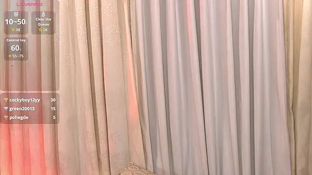 Susan_wall webcam