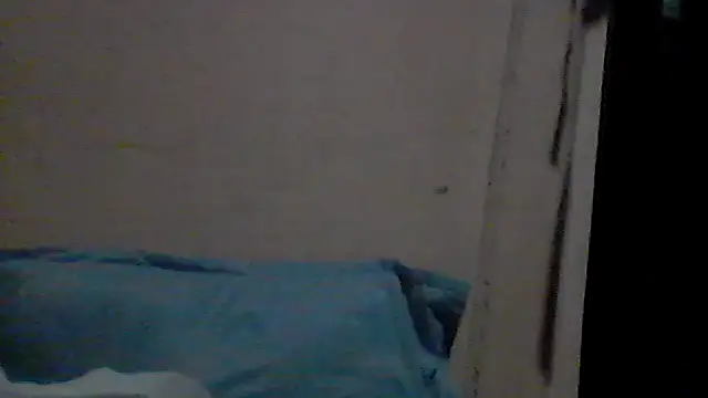gemini_loops webcam