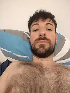 AD_Vu webcam