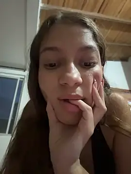 Vanneskk webcam