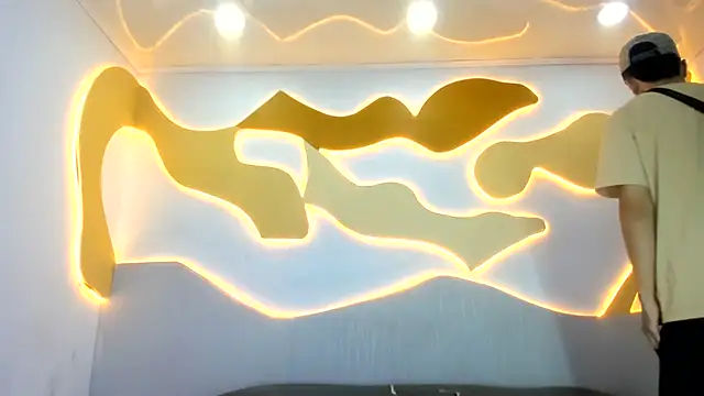 Hollmanhot webcam