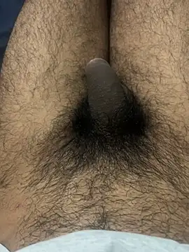 profetabr26 webcam