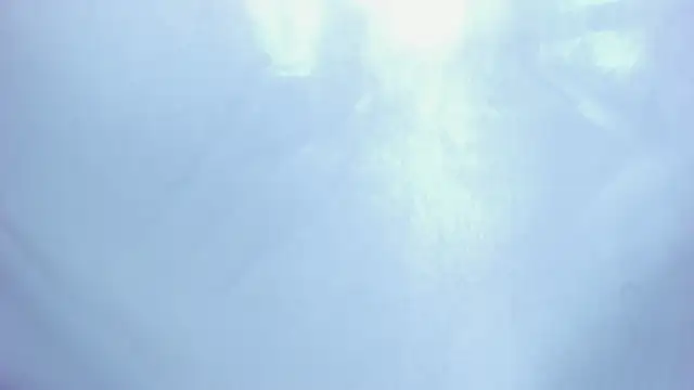 Abby_Snow_ webcam