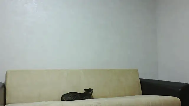 aylinblushing webcam