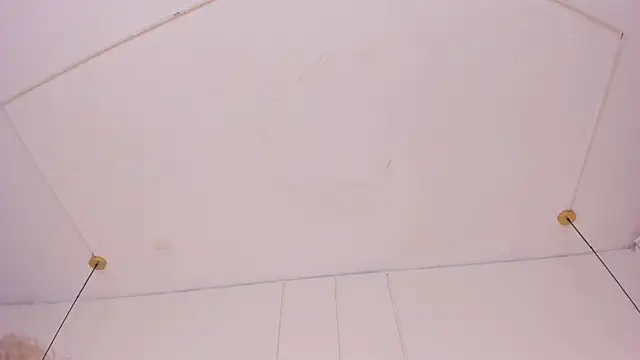 NahimiThompson webcam