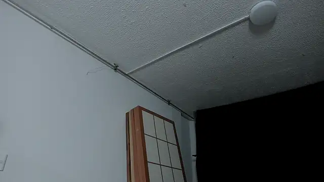 Kenji_n_Rousse webcam