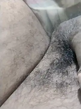 dheck2020 webcam