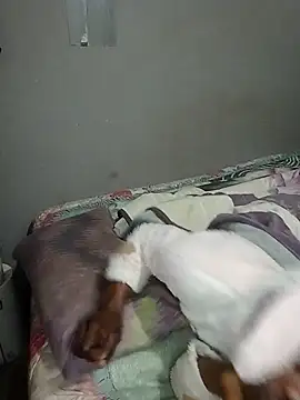 BigGamecharger webcam