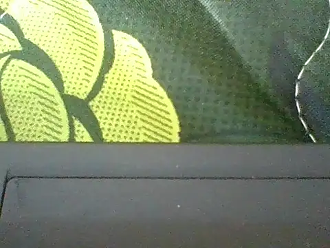 Cocoh_02 webcam