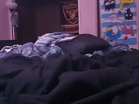 Blkstylion webcam
