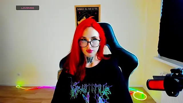 your_tora webcam