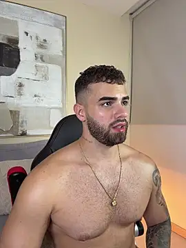 PaulPhoenix_ webcam