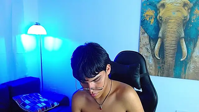 maikcum webcam