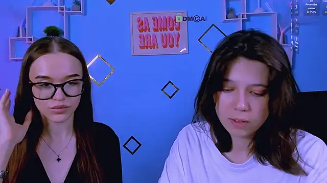 aria_wild_ webcam