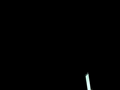 prettyley webcam