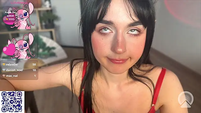 secrettape webcam