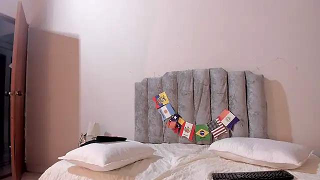 Alexa__5 webcam