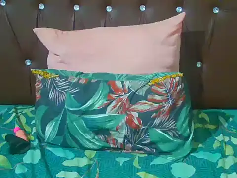Beautifulbar120xx webcam