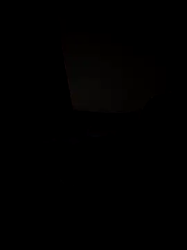 IrisBound webcam