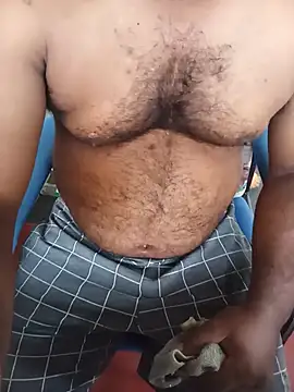 Hiptonos webcam