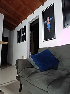 SilvaBranko webcam