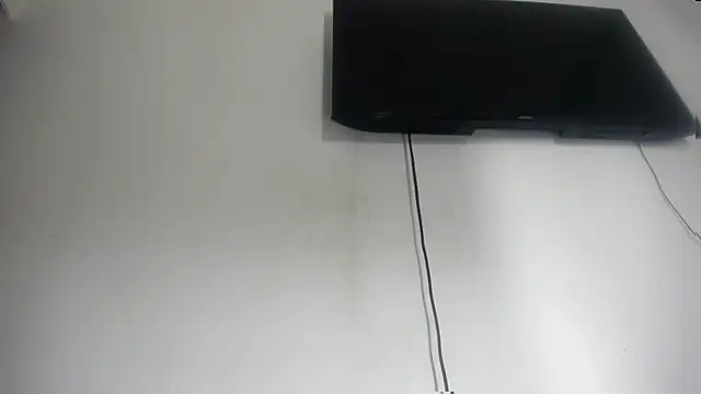 Fox_Loves webcam