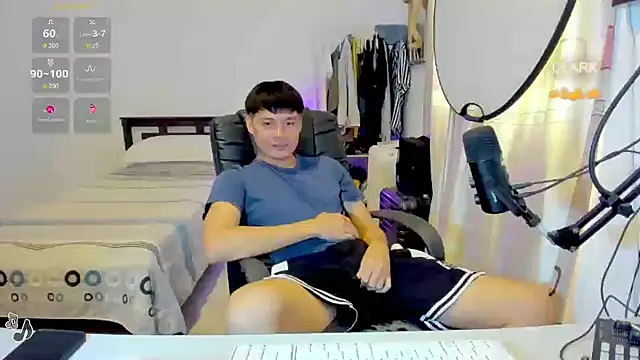 clarkdangerous webcam
