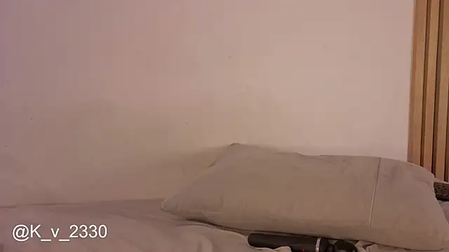 sofiesoft webcam
