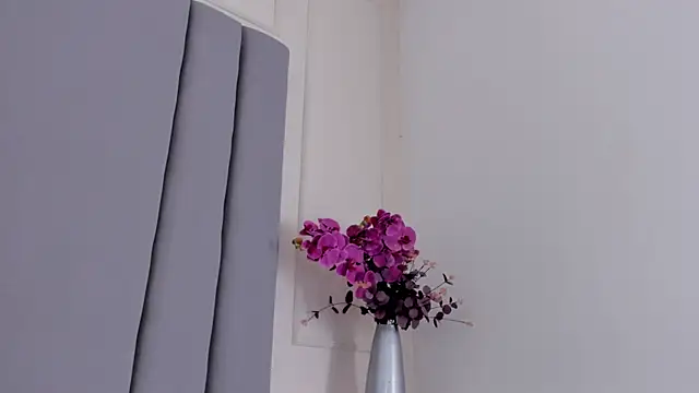 CannelaSmith webcam