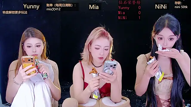 MiNi-U webcam