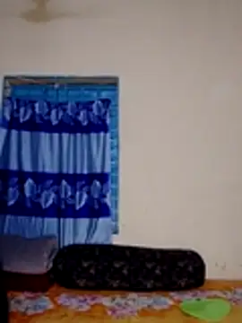 Ripa- webcam