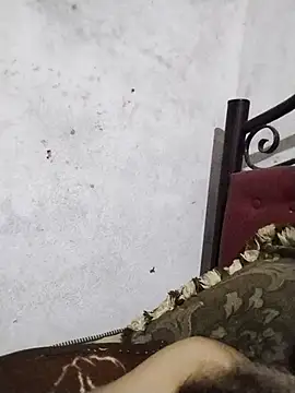 salimbasha webcam