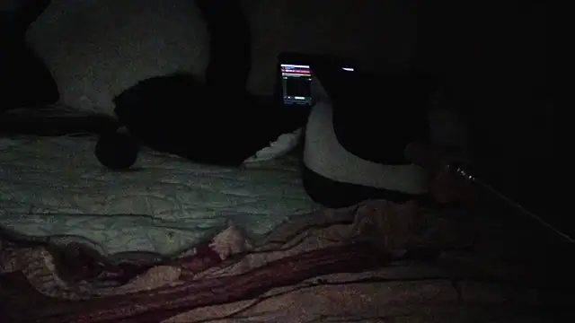 Dominalilirose webcam