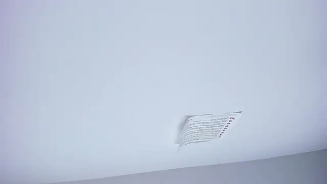 double_temptation_ webcam