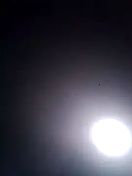 R-ant12 webcam