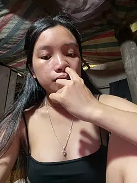beobeo_2xx webcam