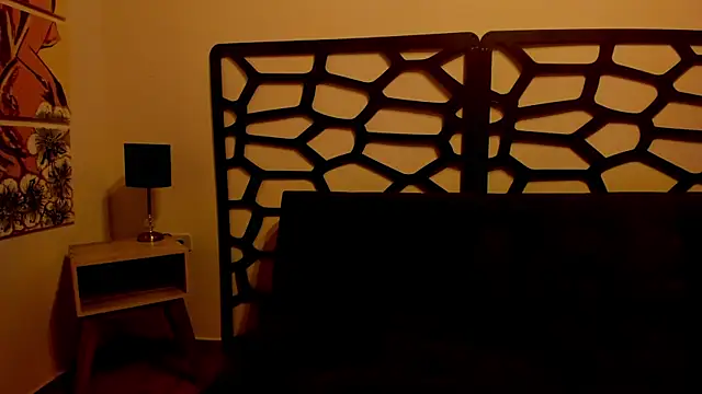 snner-velvet webcam