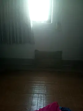 Vieekee webcam