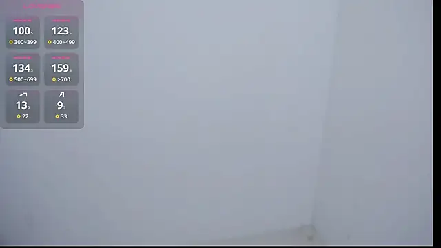 P999933 webcam