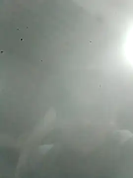 R-ant12 webcam