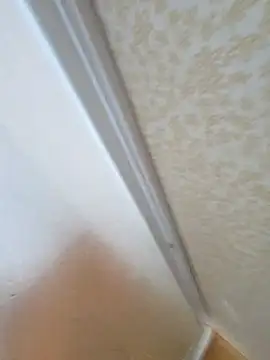 Kyle247@xh webcam