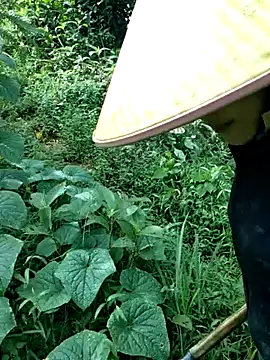 nelina_12345 webcam