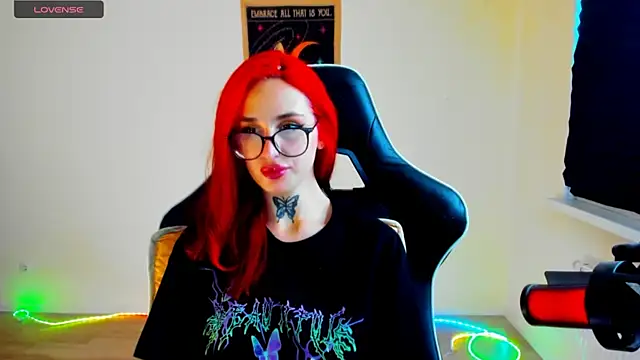 your_tora webcam