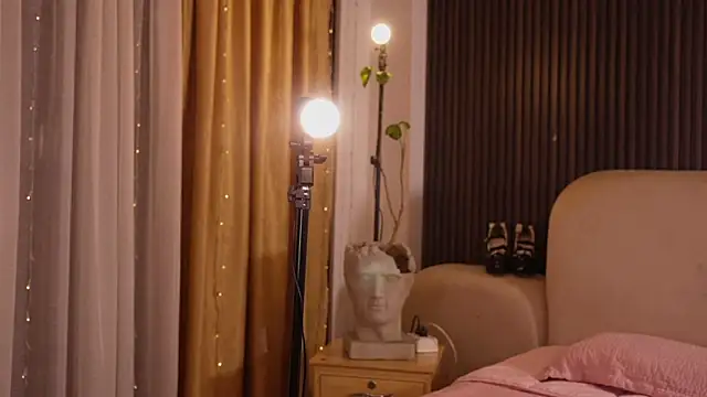 soidai_miiu webcam