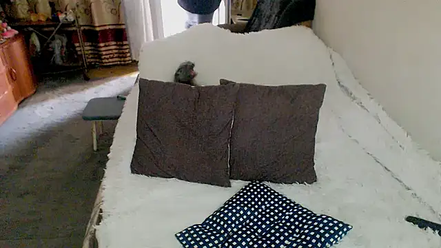 sex2 webcam